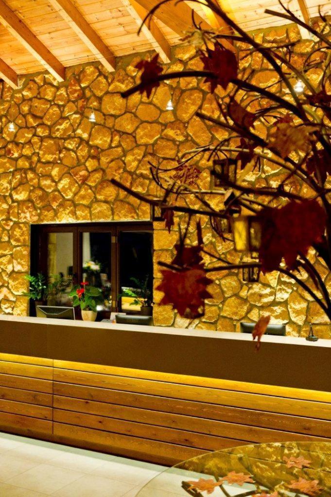 Pliadon Gi Mountain Resort & Spa Kato Sinikia Trikalon Dış mekan fotoğraf